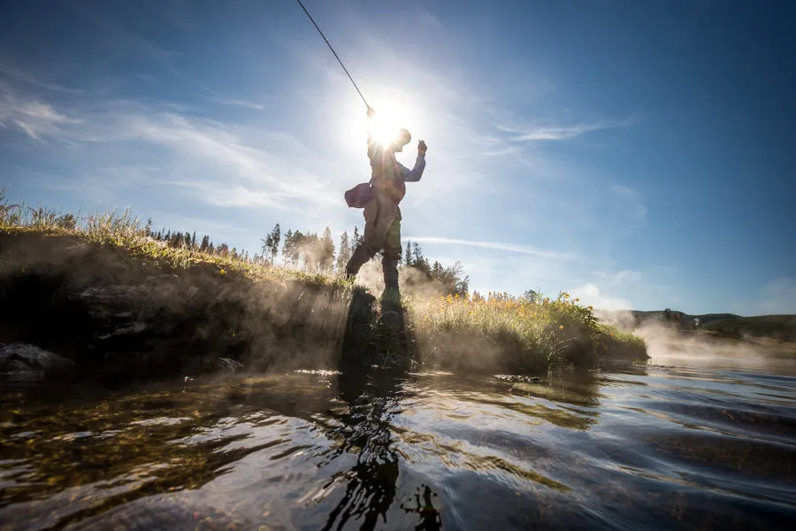 YNP fly fishing