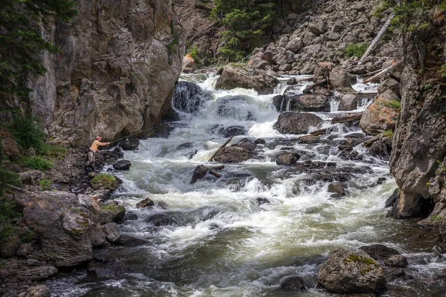YNP fly fishing firehole canyon