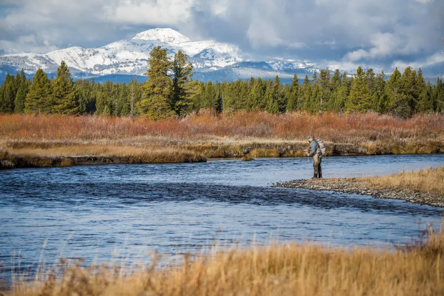 Fly Fishing in Yellowstone National Park