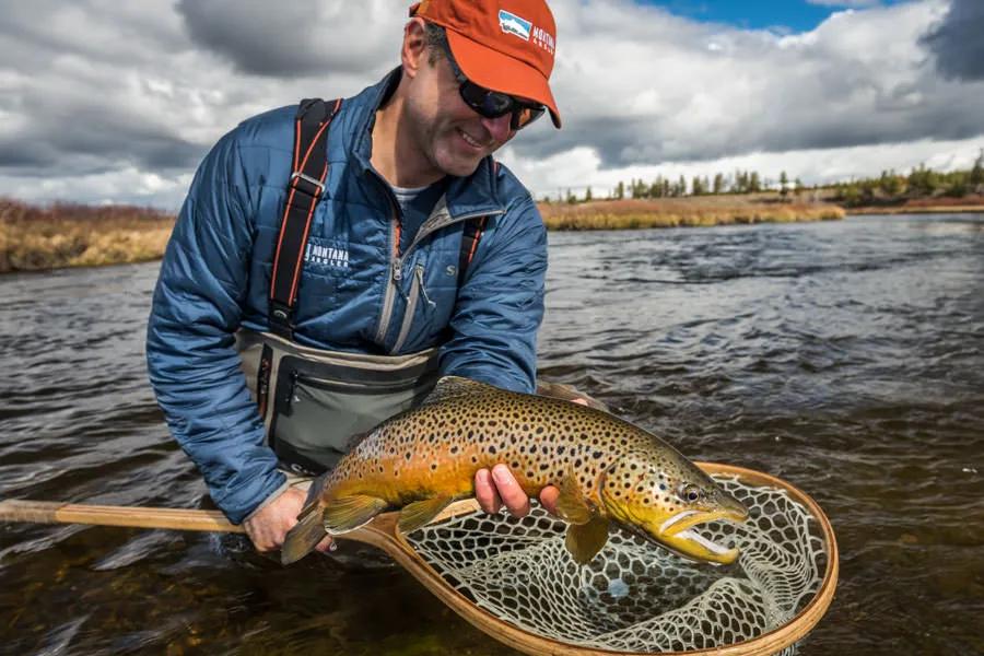 Fly Fishing in Yellowstone National Park - Brown Trout