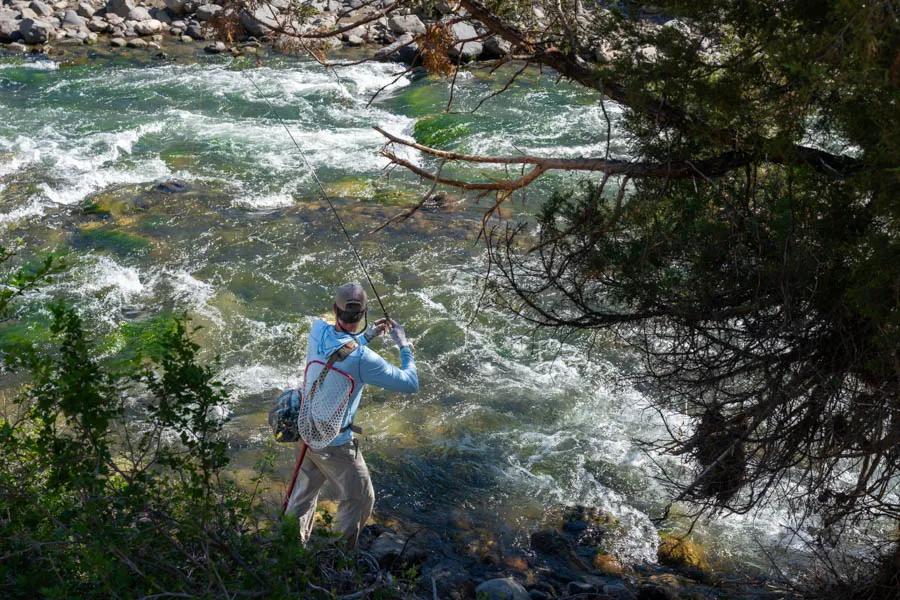 Water loading helps reduce tangles. When wade fishing you can allow the current to take your line downstream to load the rod. When floating you can let the line drop to the water on a back cast to use the water tension to help load the rod. Both of these techniques reduce the tendancy to rush a cast and get tangled by a tailing loop.