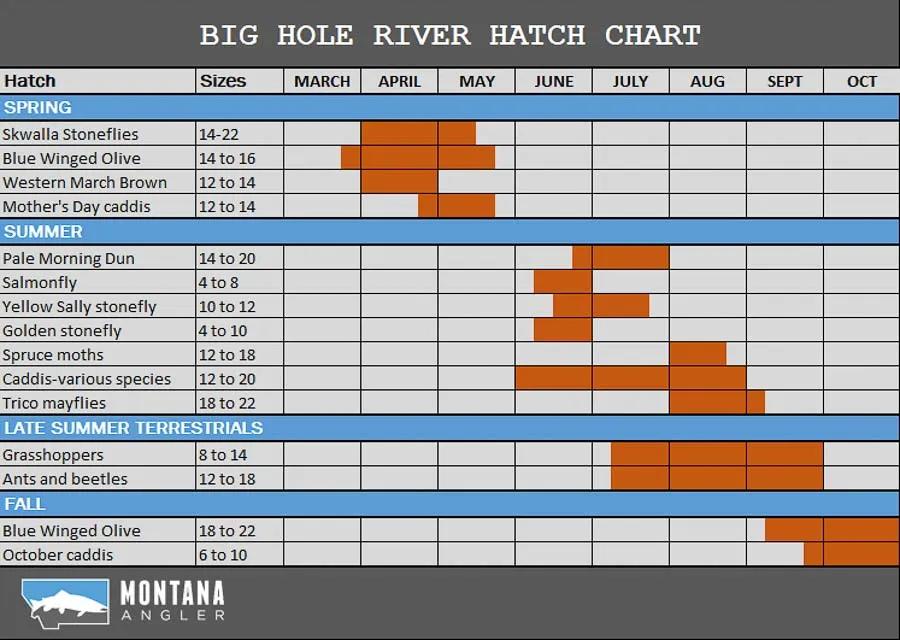 Big Hole River Hatch Chart and Fishing Hatches Big Hole River Hatch Chart