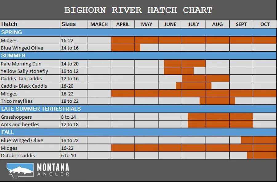 Bighorn River Hatches & Hatch Chart
