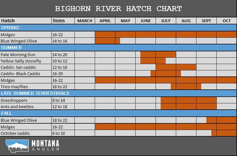 Bighorn River Hatch Chart Bighorn River Hatch Chart