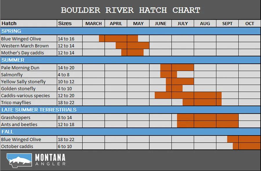 Boulder River Hatches and Fishing Hatch Chart