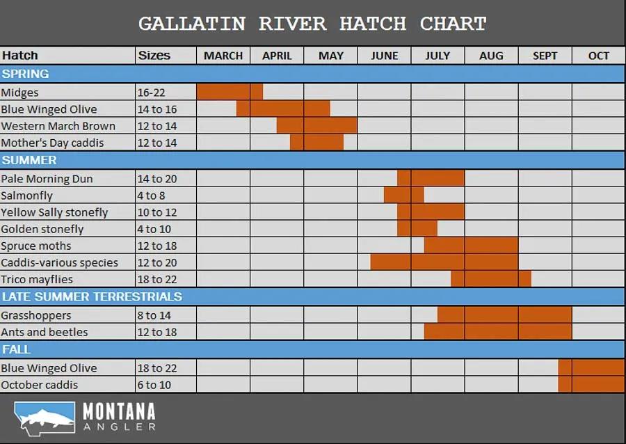 Gallatin River Hatch Chart