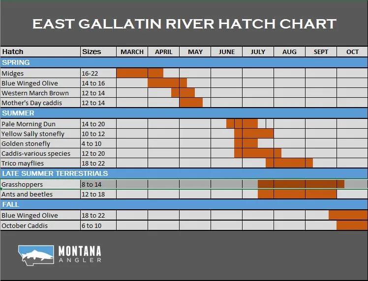 East Gallatin River Hatch Chart