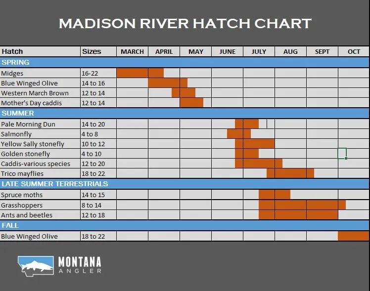Madison River Fishing Hatch Chart Madison River Hatch Chart