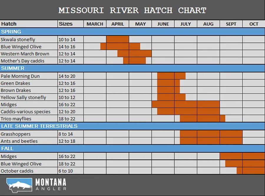 Missouri River Fly Fishing Hatches and Chart Missouri River Hatch Chart