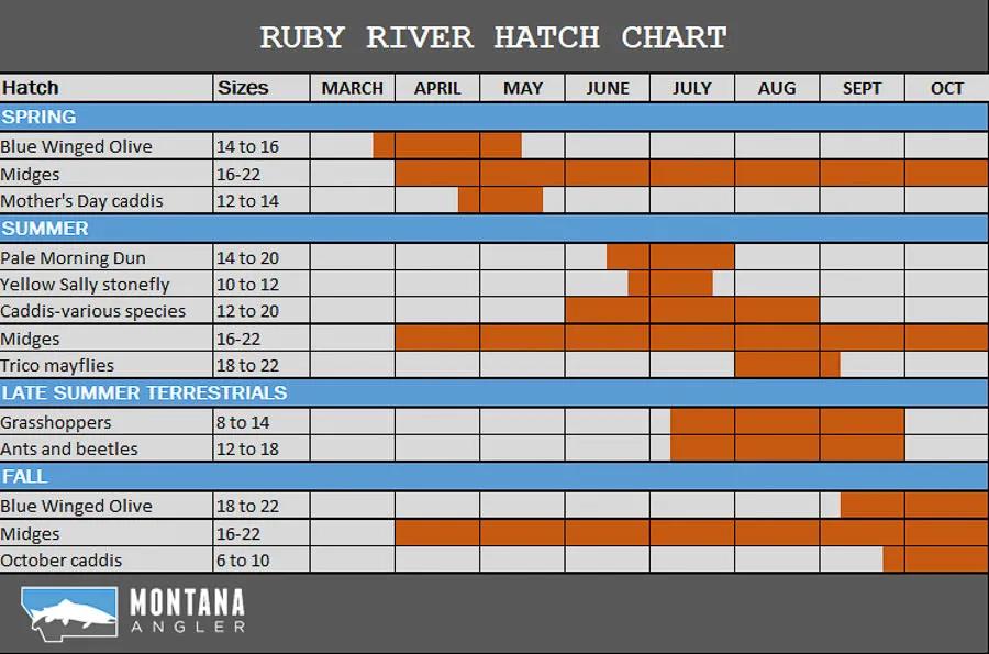 Ruby River Hatch Chart