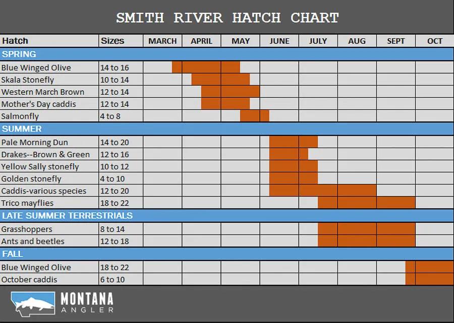 Smith River Hatches & Fishing Hatch Chart