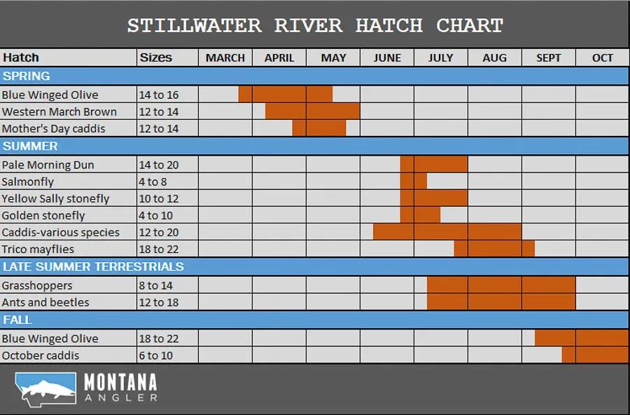 Stillwater River Fishing Hatches and Hatch Chart Stillwater River Hatch Chart