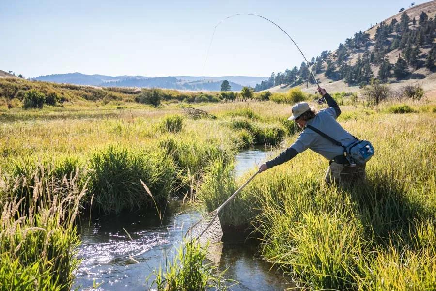 A guide to fly fishing during hopper season in Montana