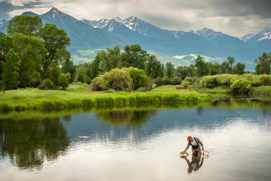 Montana spring creeks offer excellent hatches in the spring and early summer