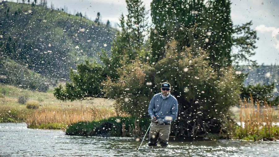 Fly Fishing Montana's Mother's Day Caddis Hay in May. This hatch can achieve blizzard proportions.