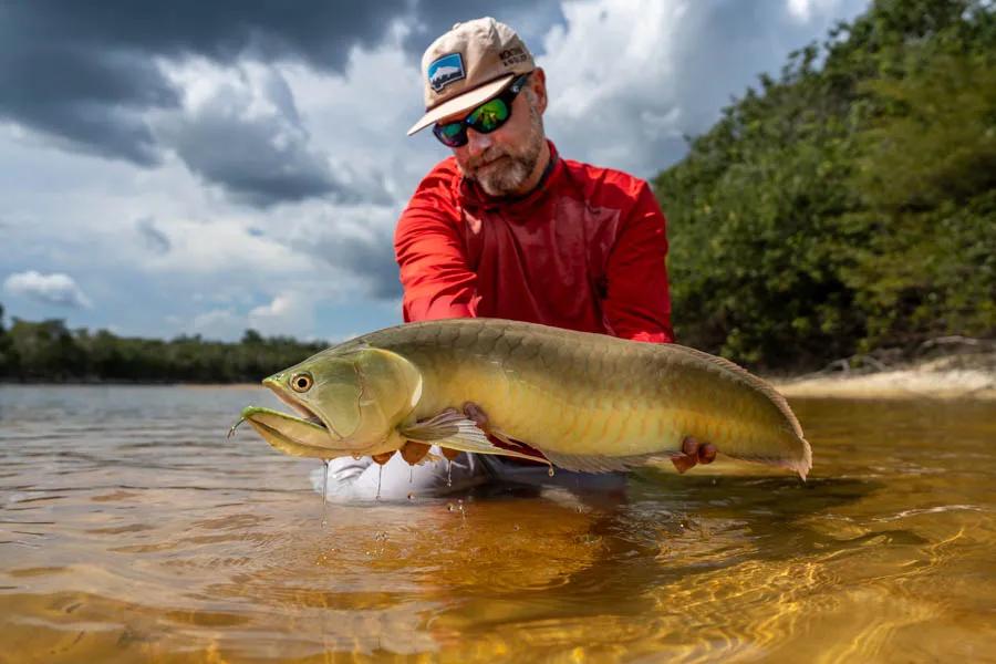 Although the massive arripaima eluded me on this trip. I did manage to catch my personal best arrowana on a gurgler stripped slowly across the surface