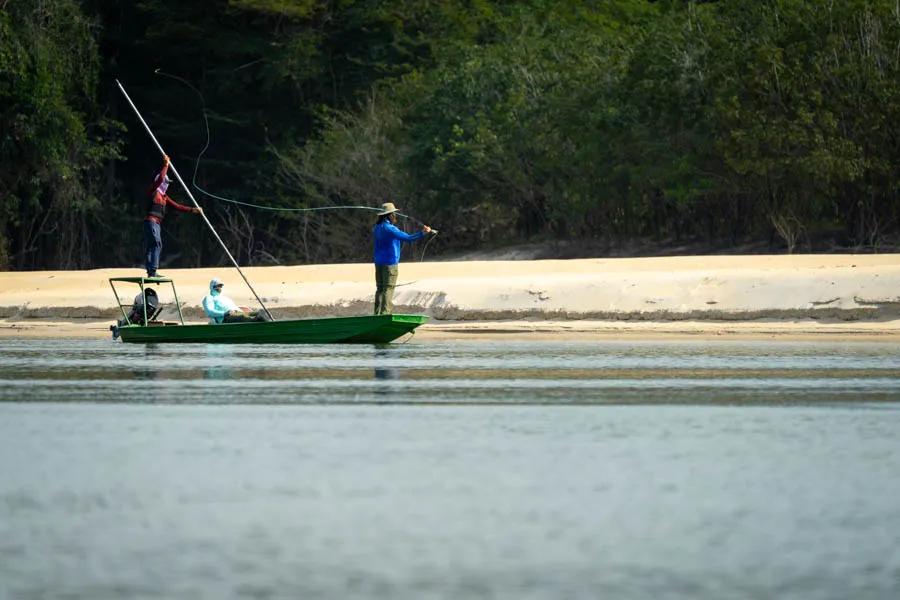 Sight casting to peacock bass Patrolling sand bars while sight casting to large cruising peacock bass is an endeavor that every fly fisher should experience once in their life!
