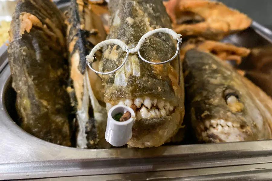 Piranah for dinner Piranah night at the lodge is always a fun event!