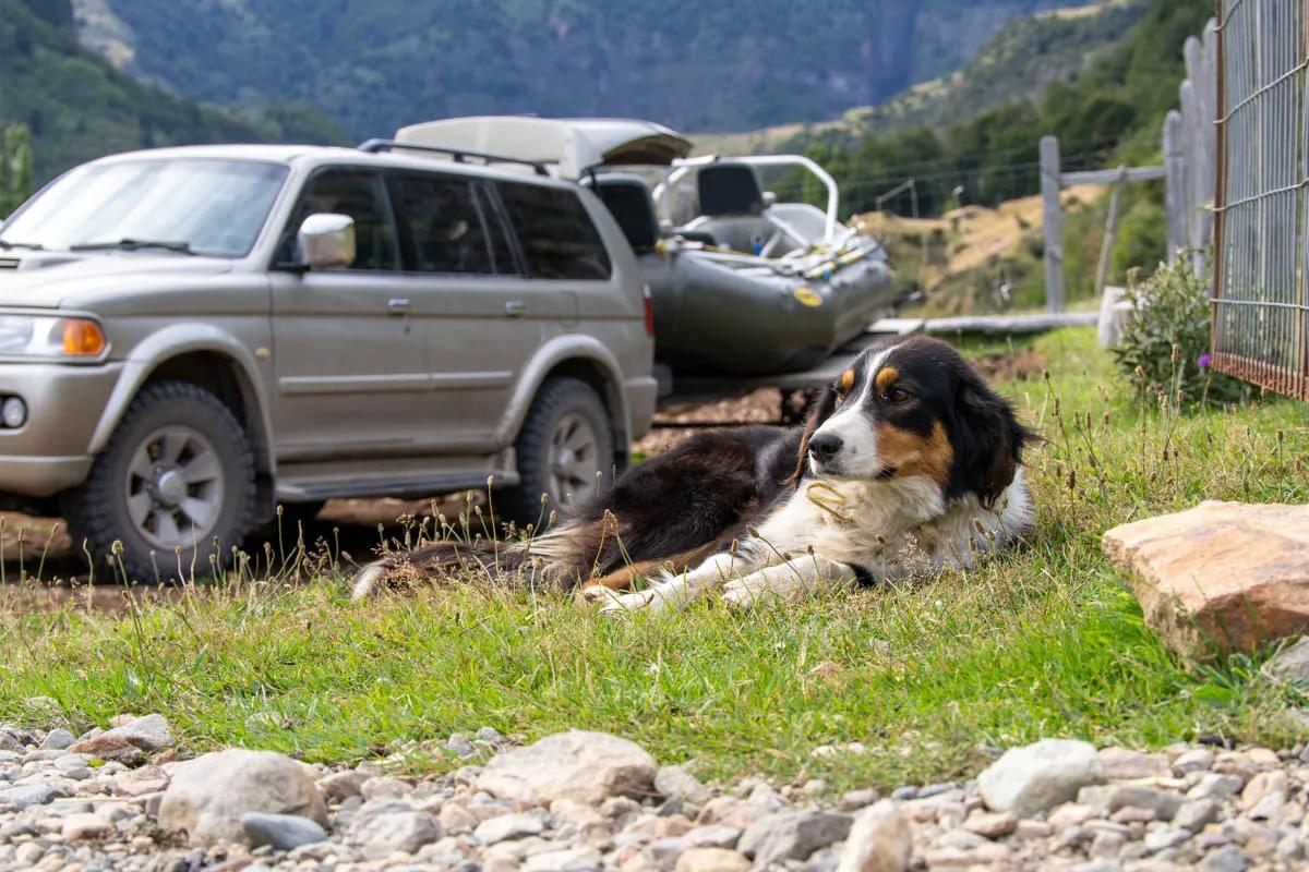 A ranch dog keeps an eye out as we rig up