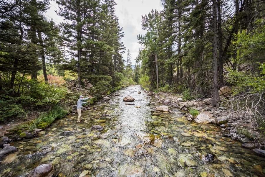 A small stream for many trout anglers is a beacon of excitement and opportunity. 