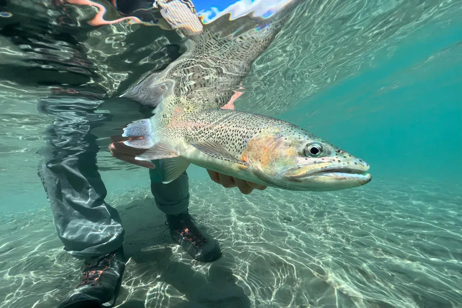 New Zealand Fly Fishing lodges