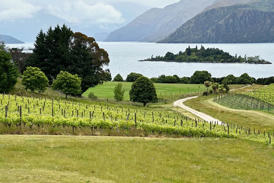 Fly Fishing New Zealand