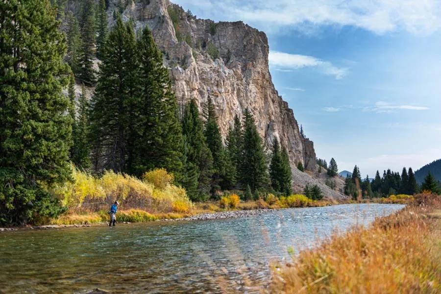 Montana best fly fishing trips The Gallatin River near Big Sky and Bozeman is a mountain freestone full of trout.