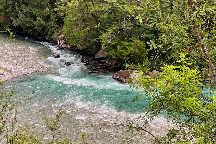 best fly fishing lodges in Chile