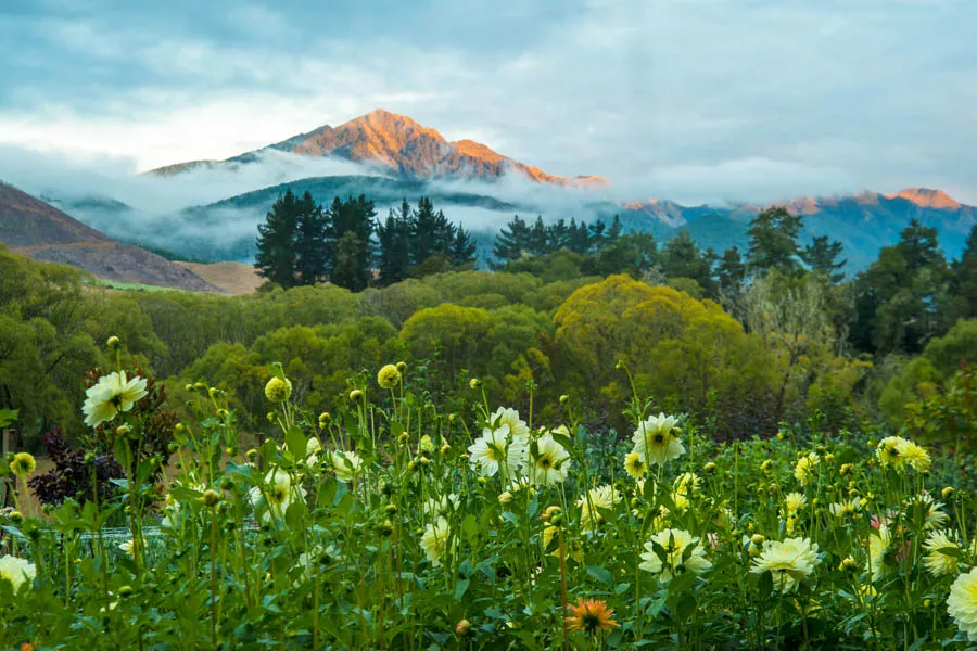 New Zealand Fly Fishing Lodge