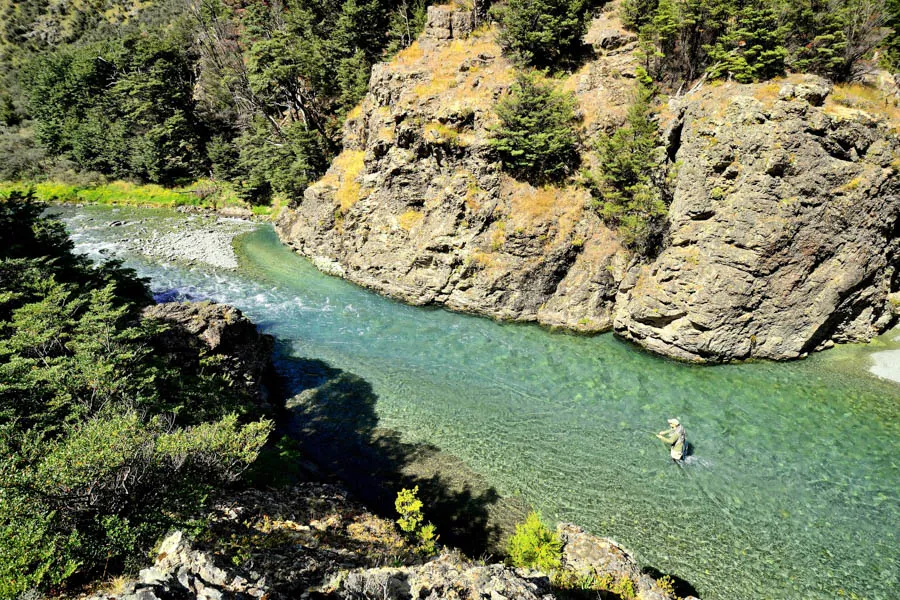 Sight fishing to big brown trout in New Zealand