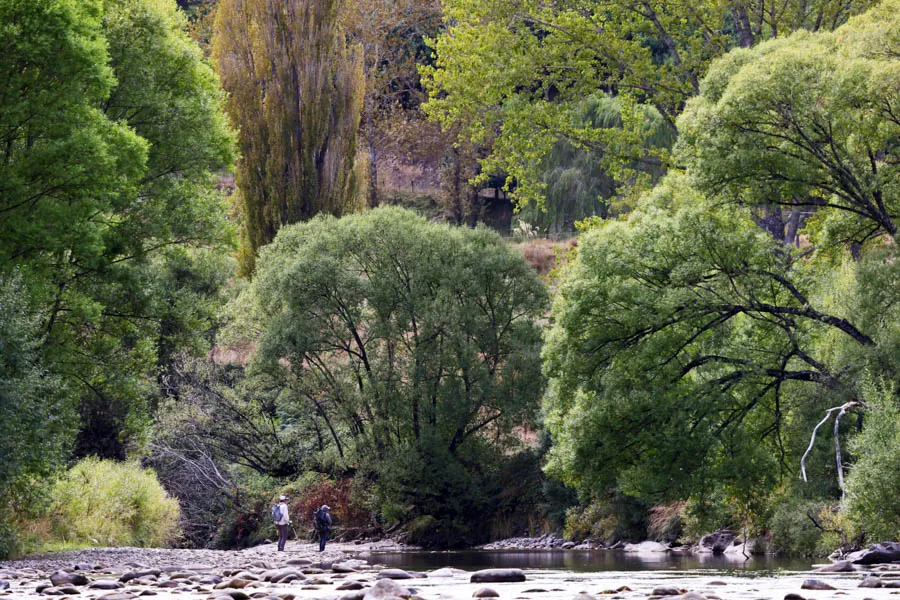 Best fly fishing lodge in New Zealand