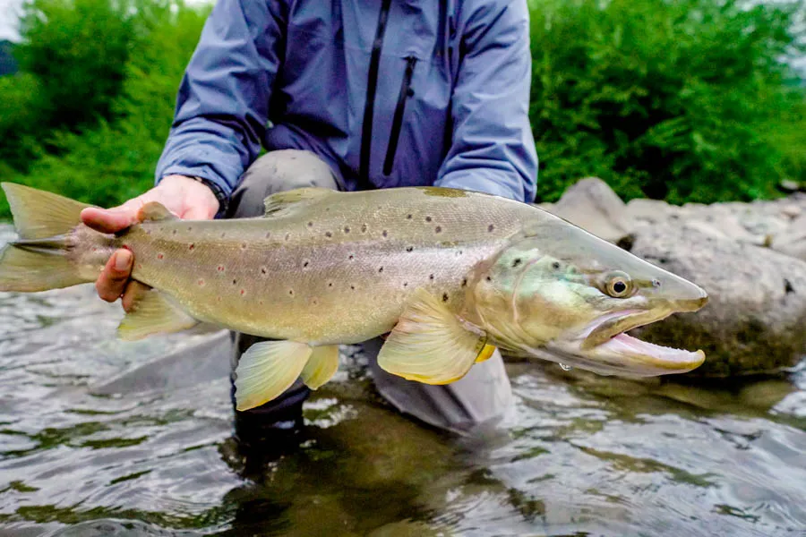 Lodge for Chile fly fishing trip