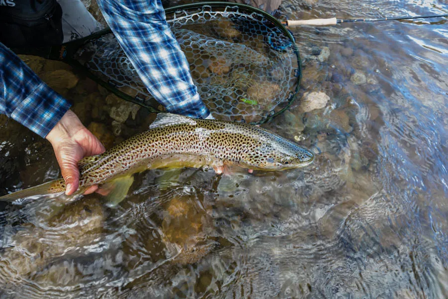 Fly fishing Chile lodge