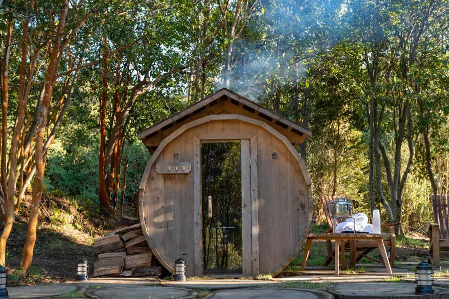 Chile fly fishing trip