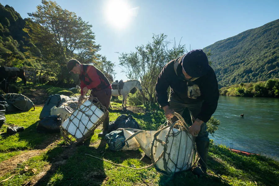 Chile fly fishing trips for wild trout