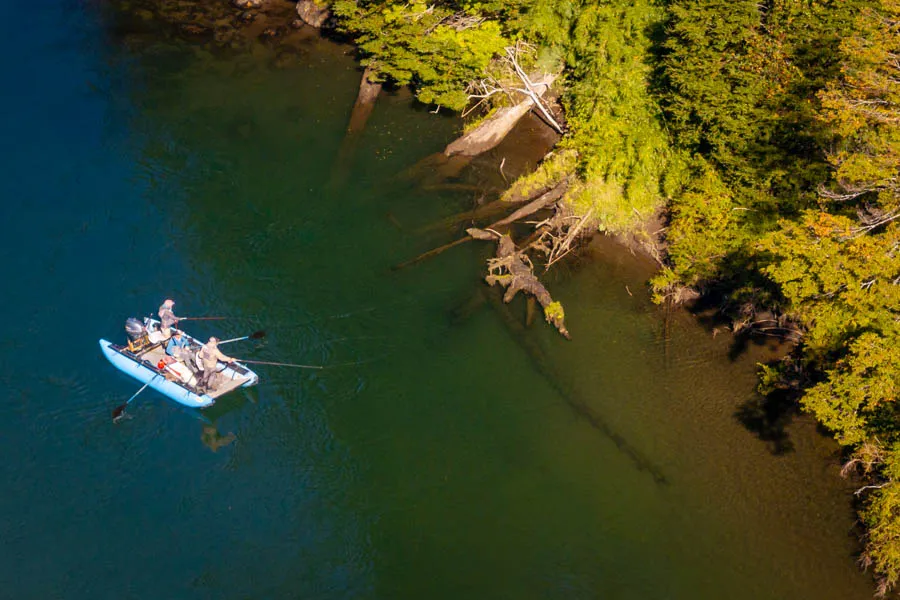 Trophy trout trips in Chile for wild fish