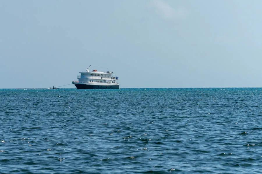 Cayo Largo live aboard fly fishing boat with Avalon Avalon has several large yachts in their fleet. The Cayo Largo program uses a large three story boat with comfortable air conditione accommodations. Staying on board is basically equivelant to lving on a floating fly fishing lodge! The boat moves over the course of the trip to continuously target fresh waters.