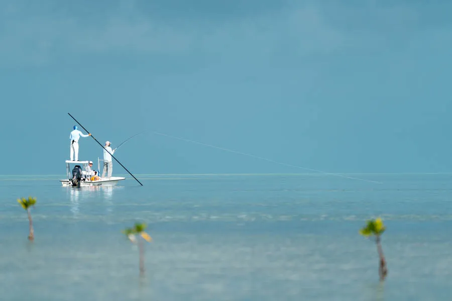 Cuba sight fishing