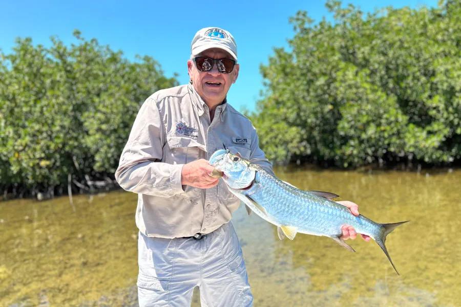 Juvenille tarpon Juvenille tarpon are also frequently encountered in the mangroves. Dave Jankowski found a nice 8 pounder inside of an interior lagoon on our trip.