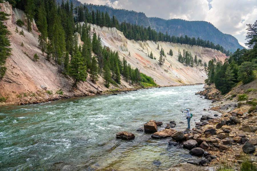 A backcountry fly fishing trip into Yellowstone National Park can unlock some great fishing in spectacular settings