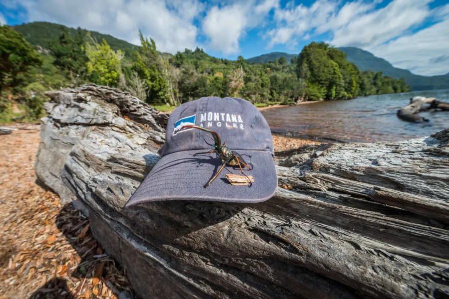 The Cantaria beetle is a popular food choice for trout in Chile. Large dry flies work well for this.
