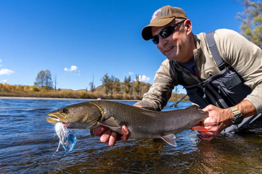 The most common taimen size landed were 24-30" fish. We landed a total of 25 taimen during the trip and probably moved about 100 total. Each day we saw some large fish in the 35-50" range. Smaller taimen such as this 28 incher were great fun and produced awesome takes.