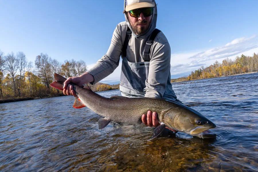 35" taimen Hayden Roe with a nice 35" taimen. The fish over 30" defintely put on a show!