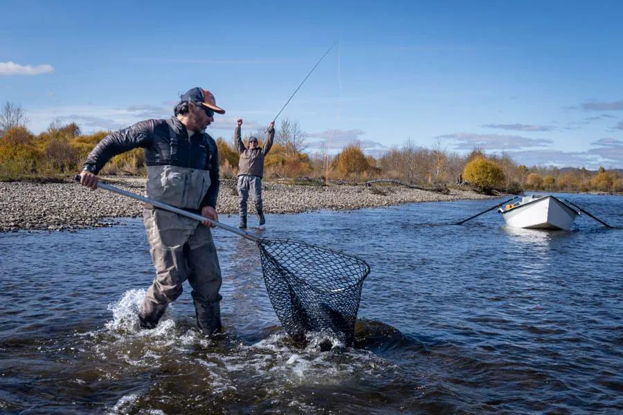 Big taimen in the net And the sweet euphoric relief when the fish is in the net!