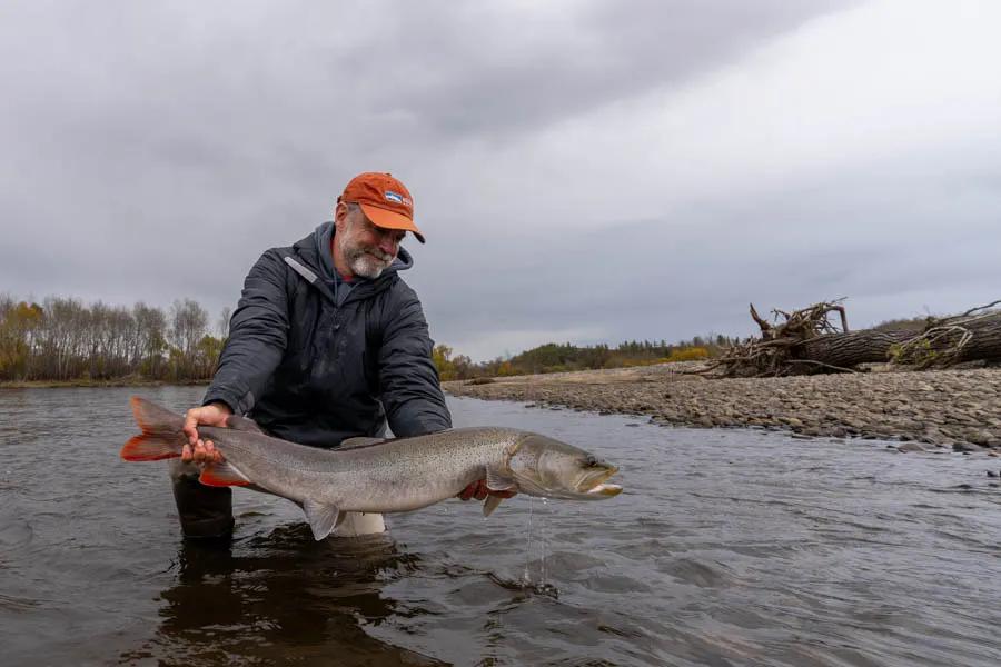 big taiment in Mongolia My biggest taimen of the trip. A 38.5" dandy that hit my pole dancer on the surface about 10 times before finally getting hooked. 5 minutes earlier in the day I had another larger fish on that was over 40"