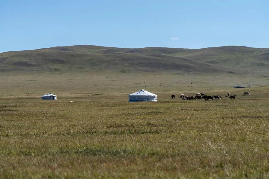 Nomadic ger camps Traditional ger camps are seen dotting the landscape in even the most remote valleys. Nomadic herders move their camps several times per year while following their animals