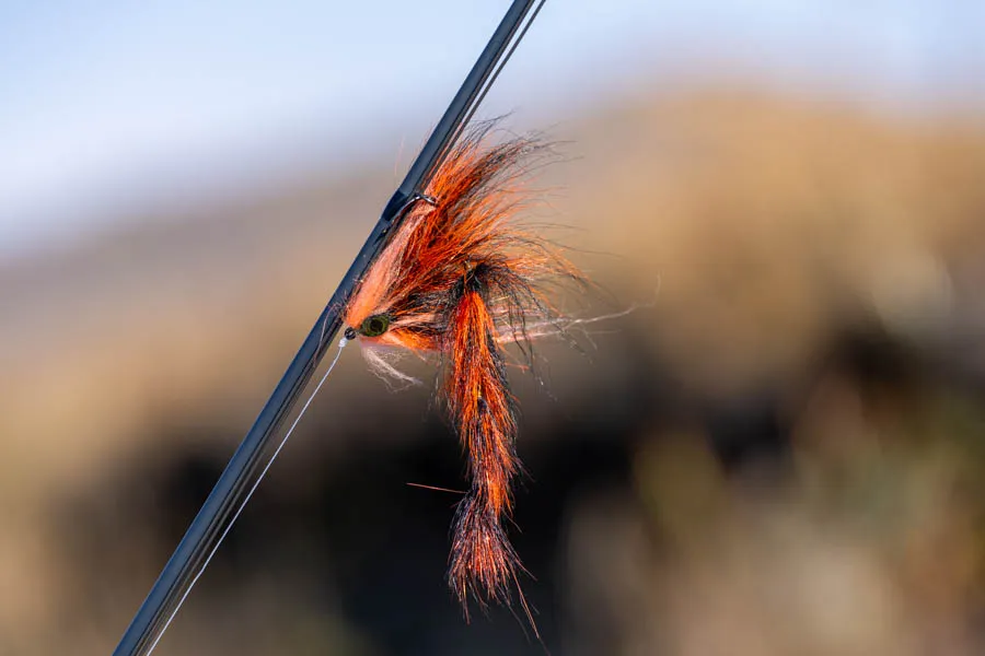 Large flies for taimen in Mongolia