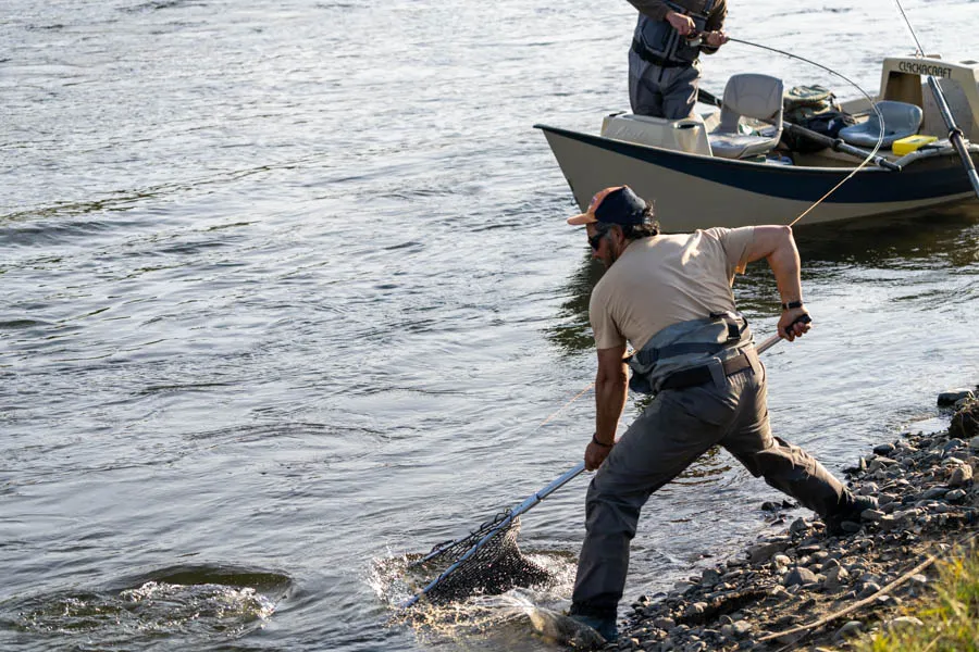Taimen fly fishing trips in Montana