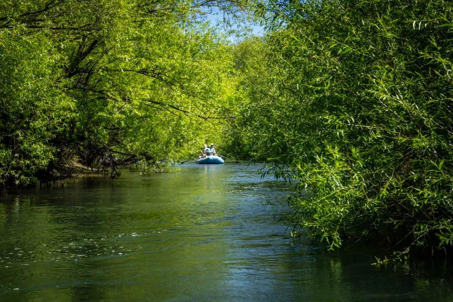 Remote and rarely fished, the Rio Chubut is a gem of a dry fly river in Argentina. The guides and crew at Carrileufu River Lodge have worked to clear access to a very remote and rarely fished section of the Rio Chubut.