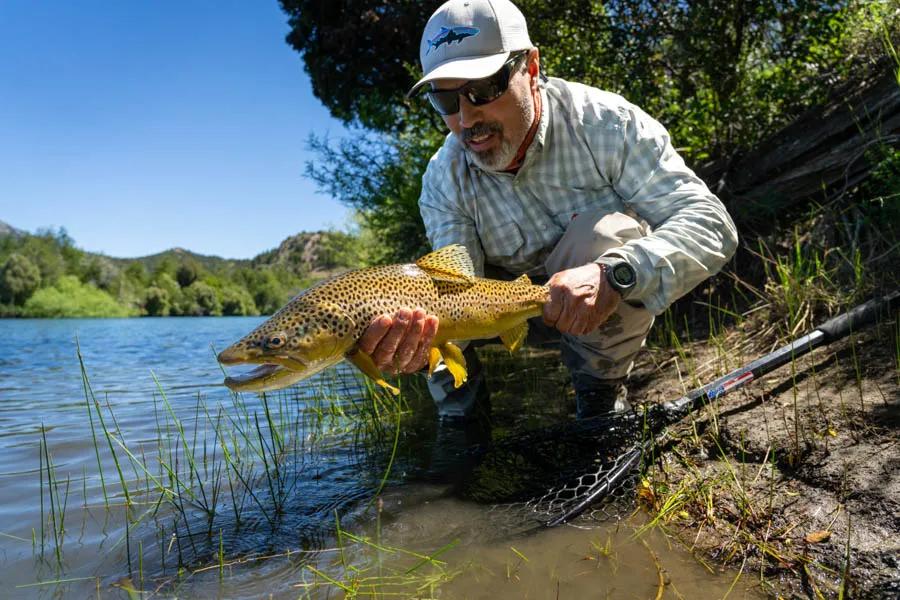 Argentina fly fishing trips Nice brown trout are common on the lakes and rivers fished by the professional guides out of Carrileufu River Lodge